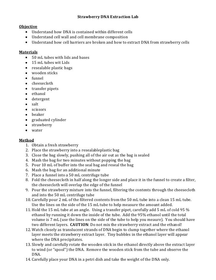 dna-extraction-strawberry-worksheet-answers-free-download-qstion-co