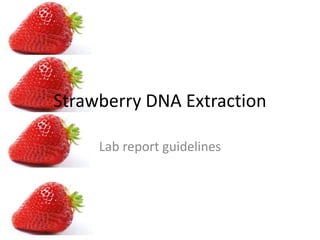 Strawberry DNA ExtractionLab report guidelines