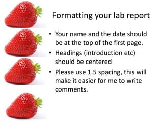 Strawberry DNA lab report
