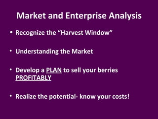 Market and Enterprise Analysis
• Recognize the “Harvest Window”

• Understanding the Market

• Develop a PLAN to sell your berries
  PROFITABLY

• Realize the potential- know your costs!
 