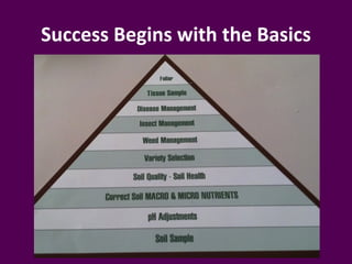 Success Begins with the Basics
 