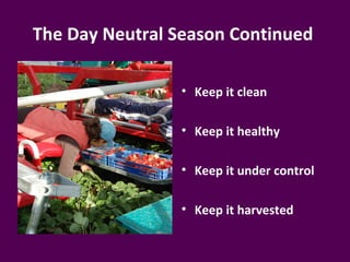 The Day Neutral Season Continued

                • Keep it clean

                • Keep it healthy

                • Keep it under control

                • Keep it harvested
 