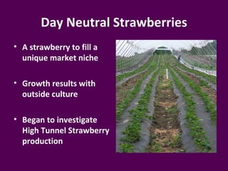Day Neutral Strawberries
• A strawberry to fill a
  unique market niche

• Growth results with
  outside culture

• Began to investigate
  High Tunnel Strawberry
  production
 