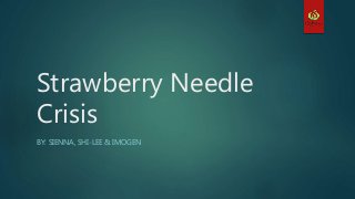 Strawberry Needle
Crisis
BY: SIENNA, SHI-LEE & IMOGEN
 