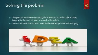 Solving the problem
 The police have been informed by this cause and have thought of a few
ideas which haven’t yet been exposed to the public.
 Some customers now have to meet the farmer and punnet before buying.
 