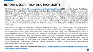 Strawberry Processing Plant Project Report.potx