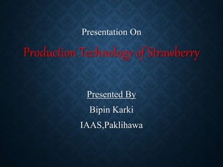 Presentation On
Production Technology of Strawberry
Presented By
Bipin Karki
IAAS,Paklihawa
 