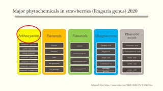 Major phytochemicals in strawberries (Fragaria genus) 2020
Adapted from https://www.mdpi.com/1420-3049/25/3/498/htm
 