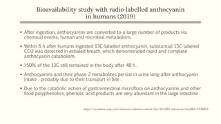 Bioavailability study with radio-labelled anthocyanin
in humans (2019)
▪ After ingestion, anthocyanins are converted to a large number of products via
chemical events, human and microbial metabolism.
▪ Within 6 h after humans ingested 13C-labeled anthocyanin, substantial 13C-labeled
CO2 was detected in exhaled breath, which demonstrated rapid and complete
anthocyanin catabolism.
▪ >50% of the 13C still remained in the body after 48 h .
▪ Anthocyanins and their phase 2 metabolites persist in urine long after anthocyanin
intake , probably due to their transport in bile .
▪ Due to the catabolic action of gastrointestinal microflora on anthocyanins and other
food polyphenolics, phenolic acid products are very abundant in the large intestine .
https://academic.oup.com/advances/advance-article/doi/10.1093/advances/nmz065/5536953
 