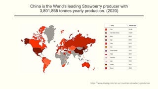China is the World's leading Strawberry producer with
3,801,865 tonnes yearly production. (2020)
https://www.atlasbig.com/en-us/countries-strawberry-production
 
