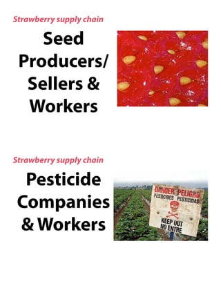 Strawberry supply chain

    Seed
 Producers/
  Sellers &
  Workers

Strawberry supply chain

  Pesticide
 Companies
 & Workers
 