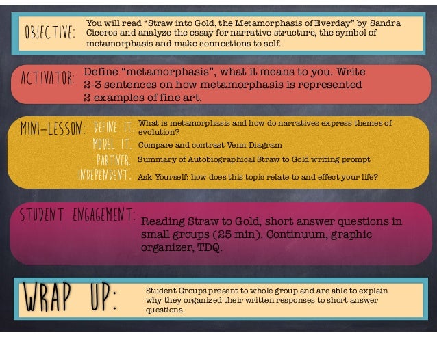 Model compare and contrast essay