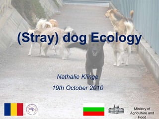 (Stray) dog Ecology Nathalie Klinge 19th October 2010 Ministry of Agriculture and Food 
