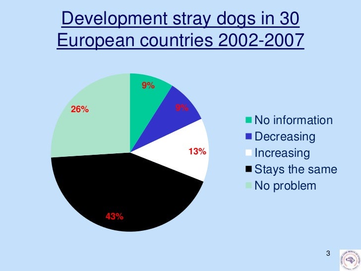Stray dog ecology by Nathalie Klinge Stray dog ecology by Nathalie Klinge