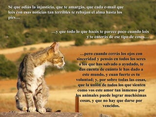 Sé que odiás la injusticia, que te amargás, que cada e-mail que leés con esas noticias tan terribles te rebajan el alma hasta los pies… … y que todo lo que hacés te parece poco cuando leés y te enterás de ese tipo de cosas… … pero cuando cerrás los ojos con sinceridad y pensás en todos los seres a los que has salvado o ayudado, te das cuenta de cuánto le has dado a este mundo, y cuan fuerte es tu voluntad; y, por sobre todas las cosas,  que la unión de todos los que sienten como vos este amor tan inmenso por los animales puede lograr muchísimas cosas, y que no hay que darse por vencidos. 