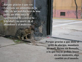 Porque gracias a que vos rescataste un animalito de la calle, de un mal dueño o de una jaula, un alma tuvo la oportunidad de conocer la felicidad y no morir en el abandono y el maltrato. Porque gracias a que diste el grito de alarma, mandaste un mail, hiciste un llamado, o lo que hayas podido hacer en ese momento, algo cambió en el mundo. 