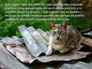 Quiero que sepas que todas las vidas que hoy han mejorado gracias a vos se unirán algún día en el mismo arco iris, y te seguirán dando las gracias, y que aquellas que no pudiste mejorar, no porque no hayas querido sino porque no pudiste, también te abrazarán y agradecerán tu intención. 