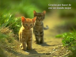 Gracias por hacer de este un mundo mejor 