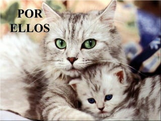 POR ELLOS 