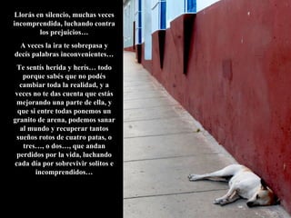 Llorás en silencio, muchas veces incomprendida, luchando contra los prejuicios… A veces la ira te sobrepasa y decís palabras inconvenientes… Te sentís herida y herís… todo porque sabés que no podés cambiar toda la realidad, y a veces no te das cuenta que estás mejorando una parte de ella, y que si entre todas ponemos un granito de arena, podemos sanar al mundo y recuperar tantos sueños rotos de cuatro patas, o tres…, o dos…, que andan perdidos por la vida, luchando cada día por sobrevivir solitos e incomprendidos… 
