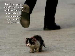 Lo sé, porque yo también he llorado, me he peleado, he discutido, y he sentido que de nada valió el esfuerzo… 