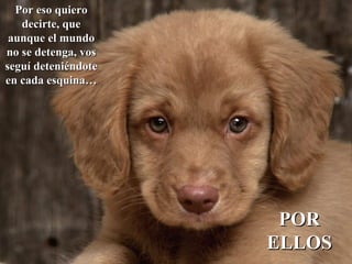 Por eso quiero decirte, que aunque el mundo no se detenga, vos seguí deteniéndote en cada esquina… POR ELLOS 