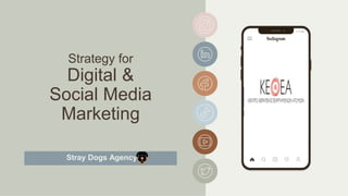 Strategy for
Digital &
Social Media
Marketing
Stray Dogs Agency
 