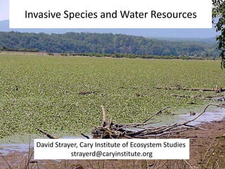 Invasive Species and Water Resources
