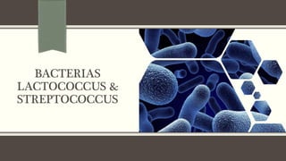 BACTERIAS
LACTOCOCCUS &
STREPTOCOCCUS
 