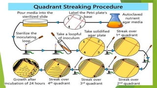 Streaking Method Pattern Streaking Method.pptxcylgkxkxtkditdtxtxkxtdoydyotix | PPT