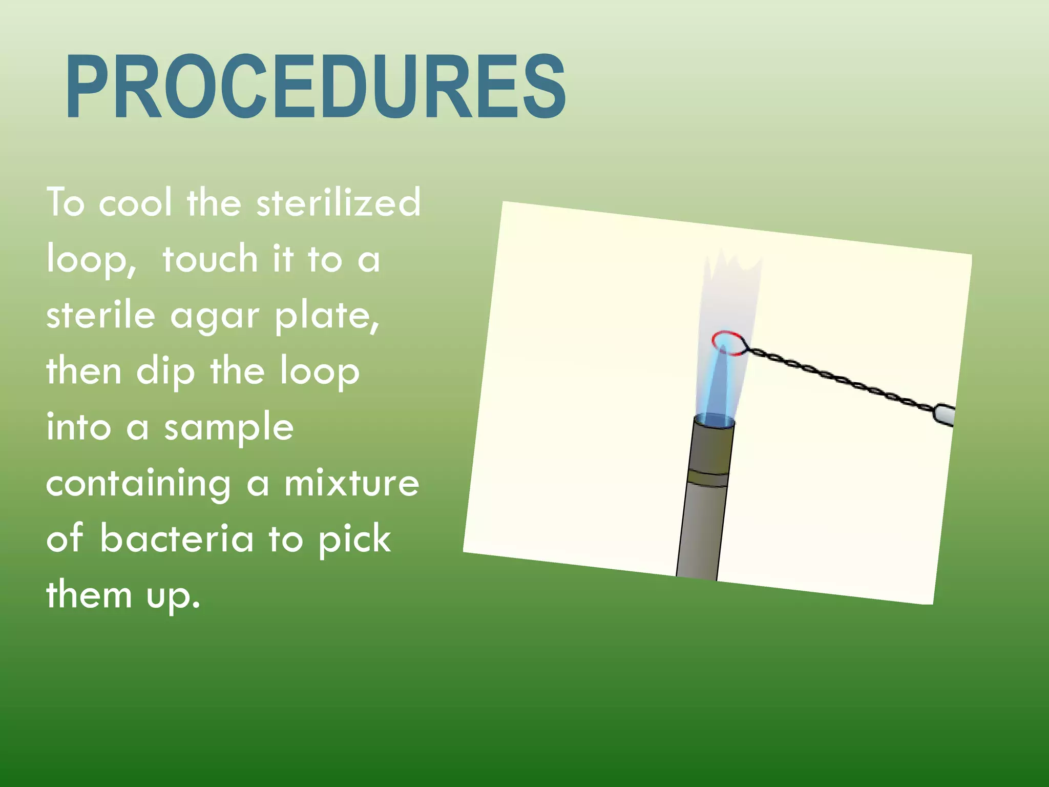 Streak Plating | PDF