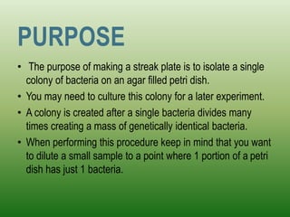 PURPOSE
• The purpose of making a streak plate is to isolate a single
colony of bacteria on an agar filled petri dish.
• You may need to culture this colony for a later experiment.
• A colony is created after a single bacteria divides many
times creating a mass of genetically identical bacteria.
• When performing this procedure keep in mind that you want
to dilute a small sample to a point where 1 portion of a petri
dish has just 1 bacteria.

 