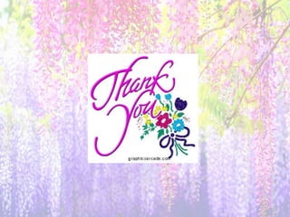 Stream of consciousness