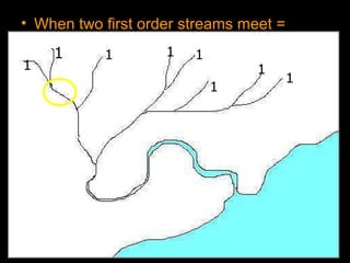 Stream Order Lesson PowerPoint, River and Water Unit | PPT