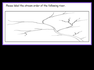 Stream Order Lesson PowerPoint, River and Water Unit | PPT