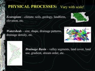 PHYSICAL PROCESSES: Vary with scale! Ecoregions  – climate, soils, geology, landform, elevation, etc. Watersheds  – size, shape, drainage patterns, drainage density, etc. Drainage Basin  – valley segments, land cover, land use, gradient, stream order, etc. 