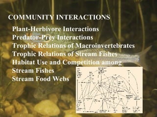 Plant-Herbivore Interactions Predator-Prey Interactions Trophic Relations of Macroinvertebrates Trophic Relations of Stream Fishes Habitat Use and Competition among Stream Fishes Stream Food Webs   COMMUNITY INTERACTIONS 