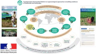 HLPE 2019. Agroecological and other innovative
approaches for sustainable agriculture and food
systems that enhance food s...