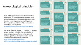 Incremental and transformational transition levels
Wezel A, Gemmill Herren B, Bezner Kerr R,
Barrios E, Gonçalves ALR and ...