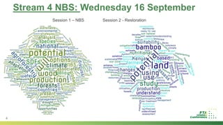 Introduction to Stream 4: Nature-based solutions to address the climate crisis