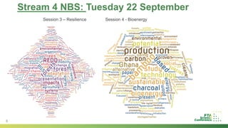 Introduction to Stream 4: Nature-based solutions to address the climate crisis