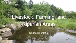 Codee Kopelchuk
Livestock, Farming, and
Riparian Areas
 
