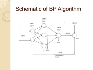 Schematic of BP Algorithm
 