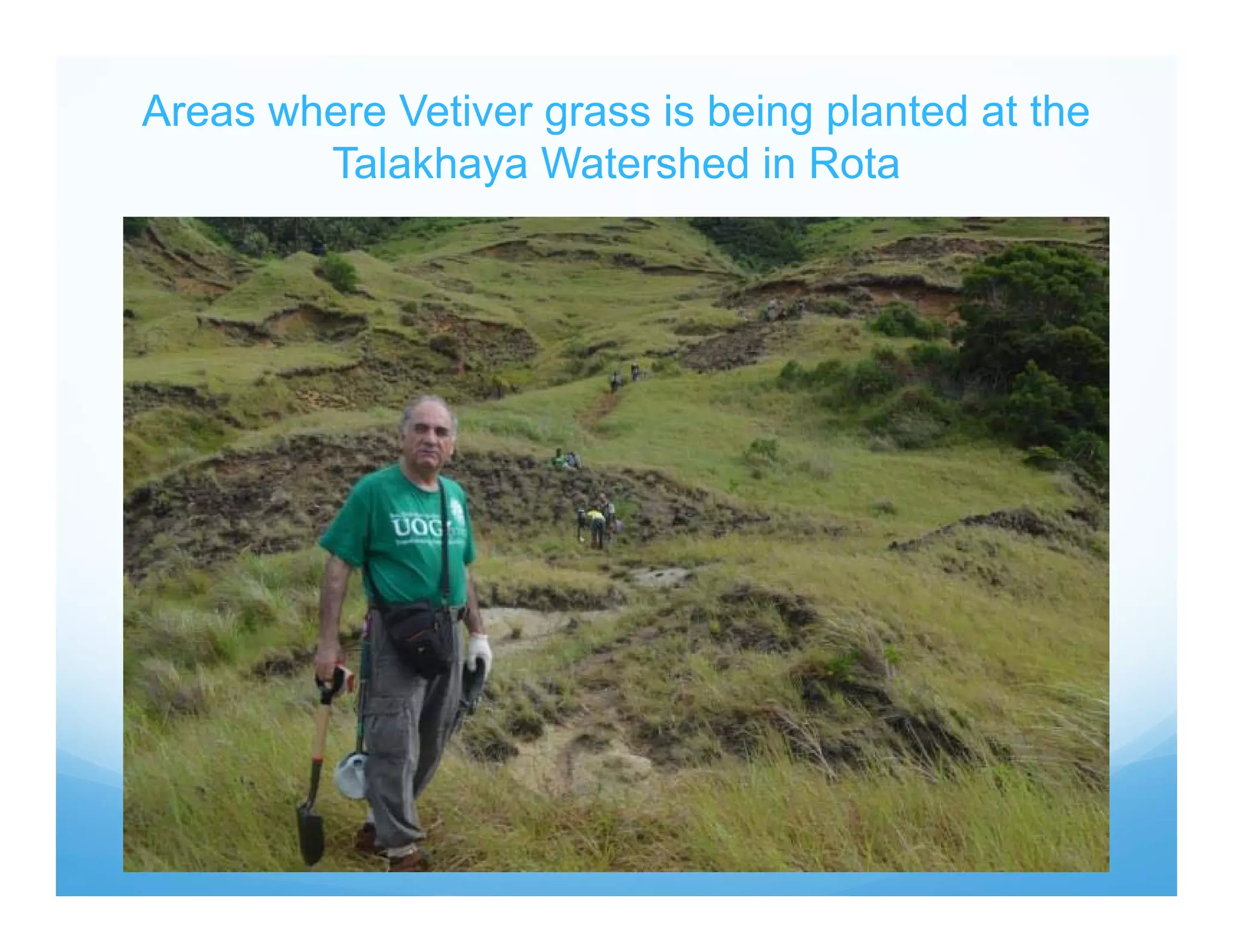 Areas where Vetiver grass is being planted at the
Talakhaya Watershed in Rota
 