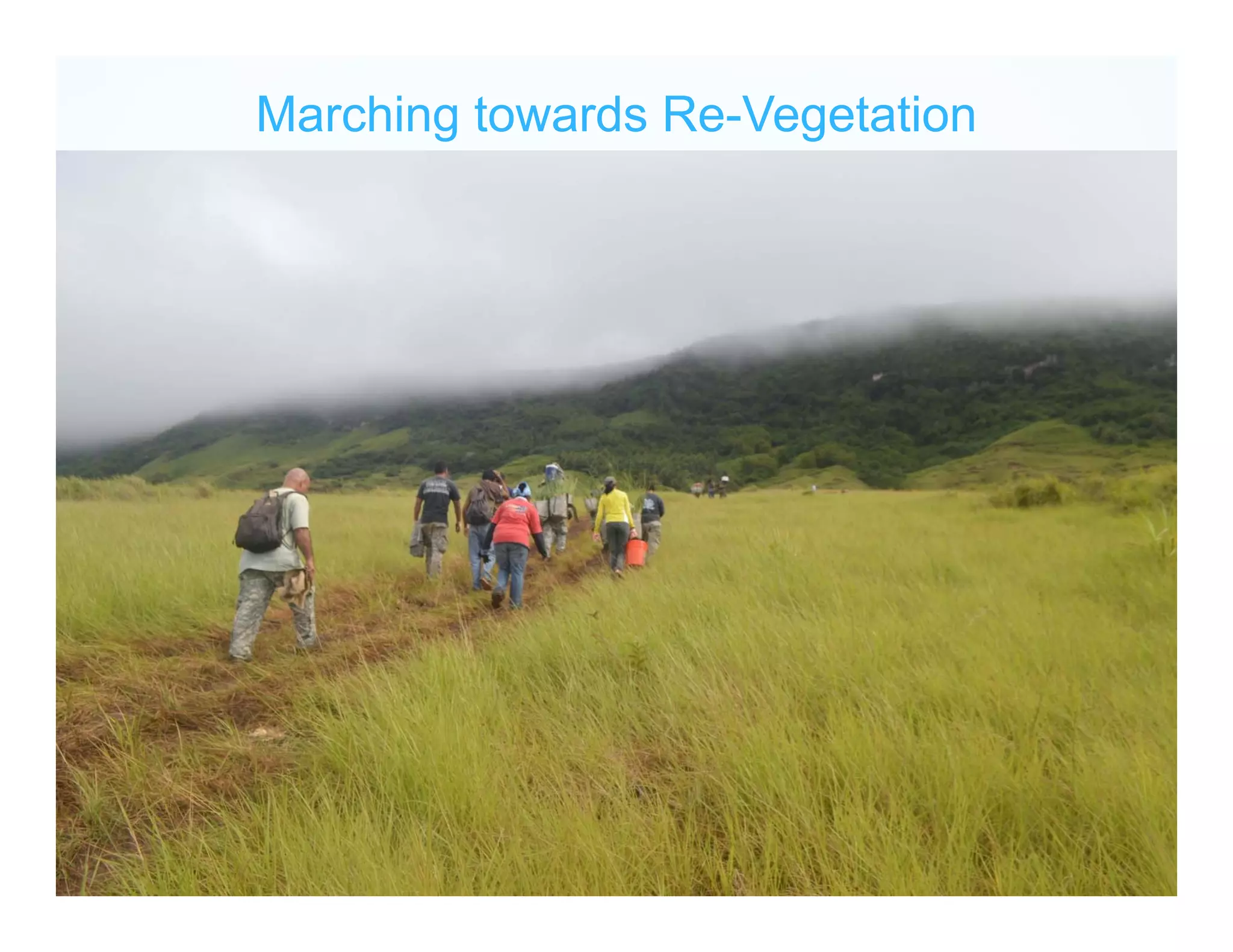 Marching towards Re-Vegetation
 