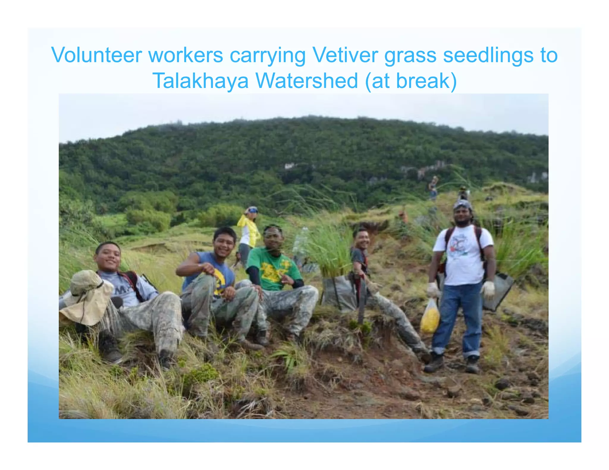 Volunteer workers carrying Vetiver grass seedlings to
Talakhaya Watershed (at break)
 