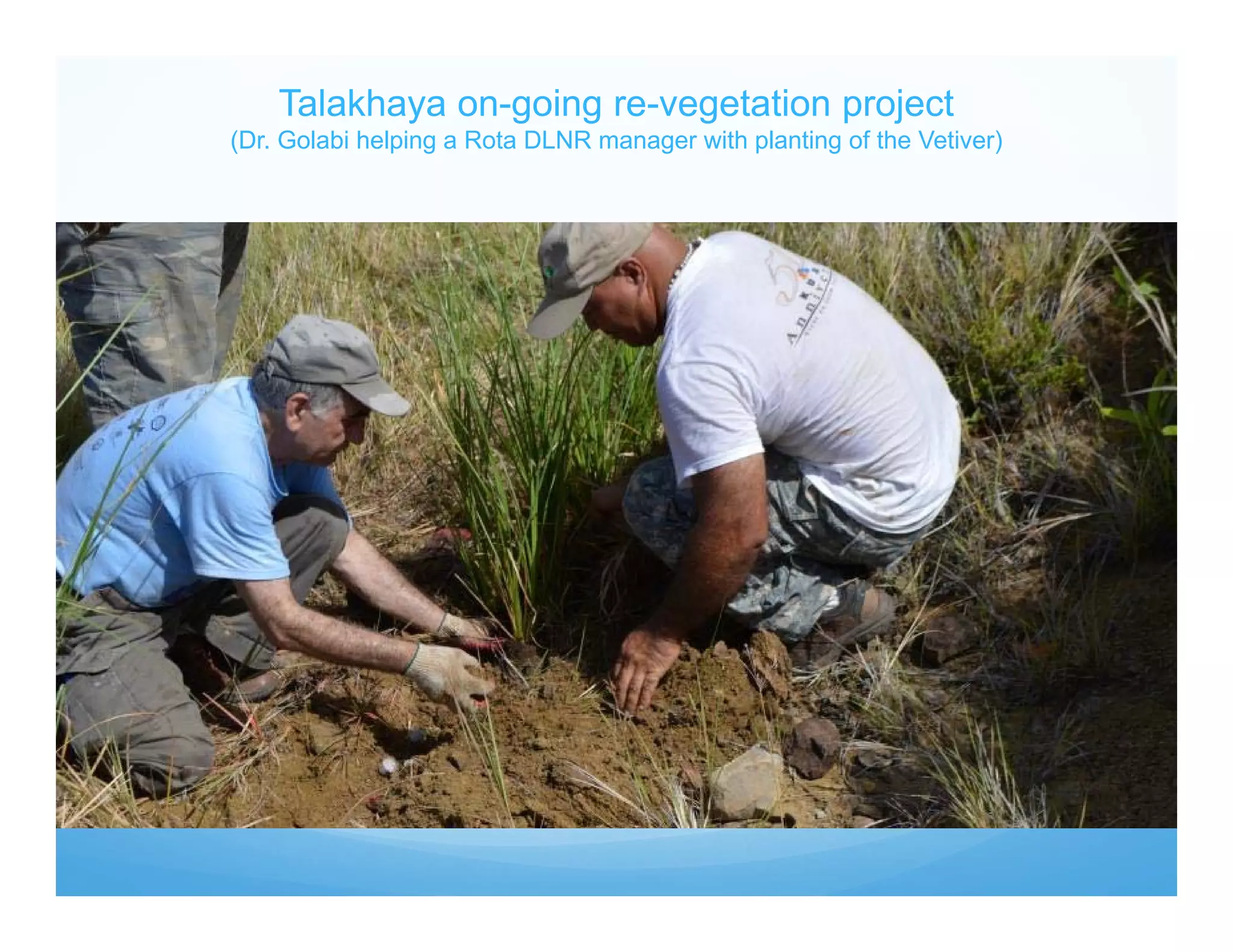 Talakhaya on-going re-vegetation project
(Dr. Golabi helping a Rota DLNR manager with planting of the Vetiver)
 