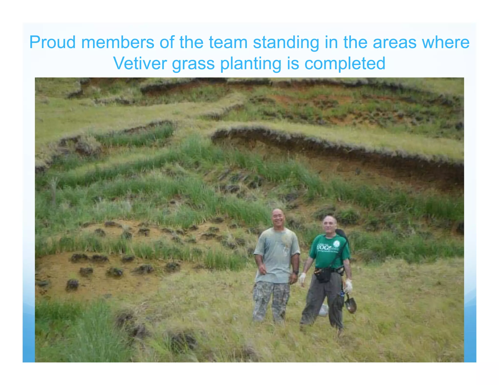 Proud members of the team standing in the areas where
Vetiver grass planting is completed
 