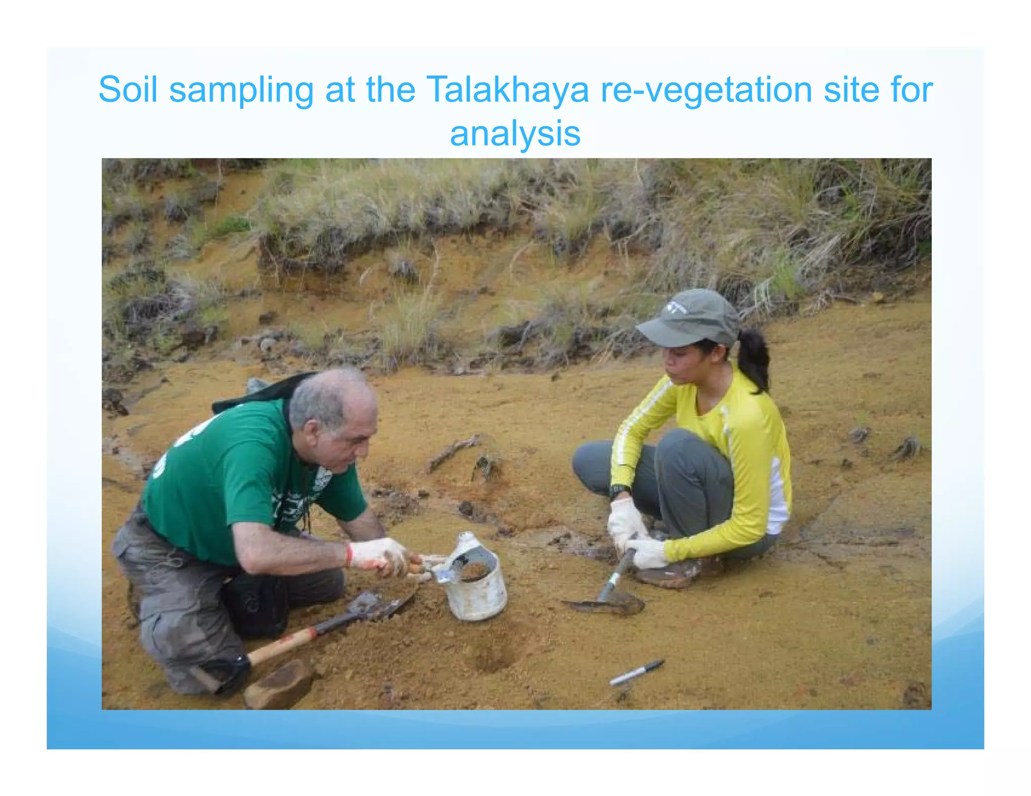 Soil sampling at the Talakhaya re-vegetation site for
analysis
 