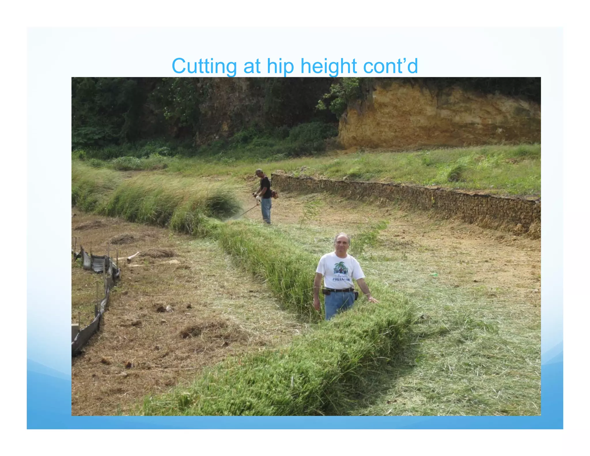 Cutting at hip height cont’d
 